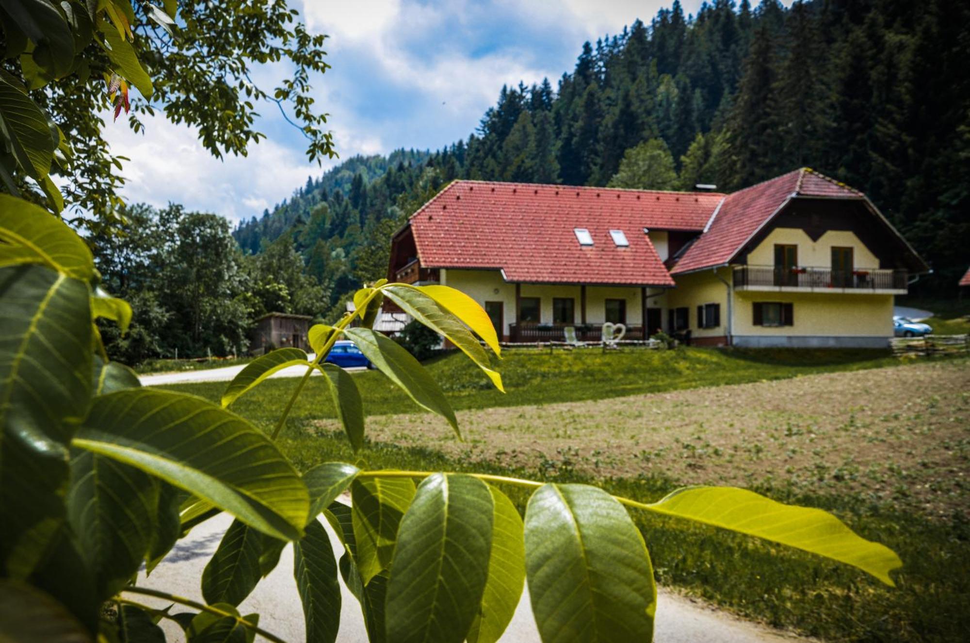 Farm Stay Loger Ljubno 외부 사진